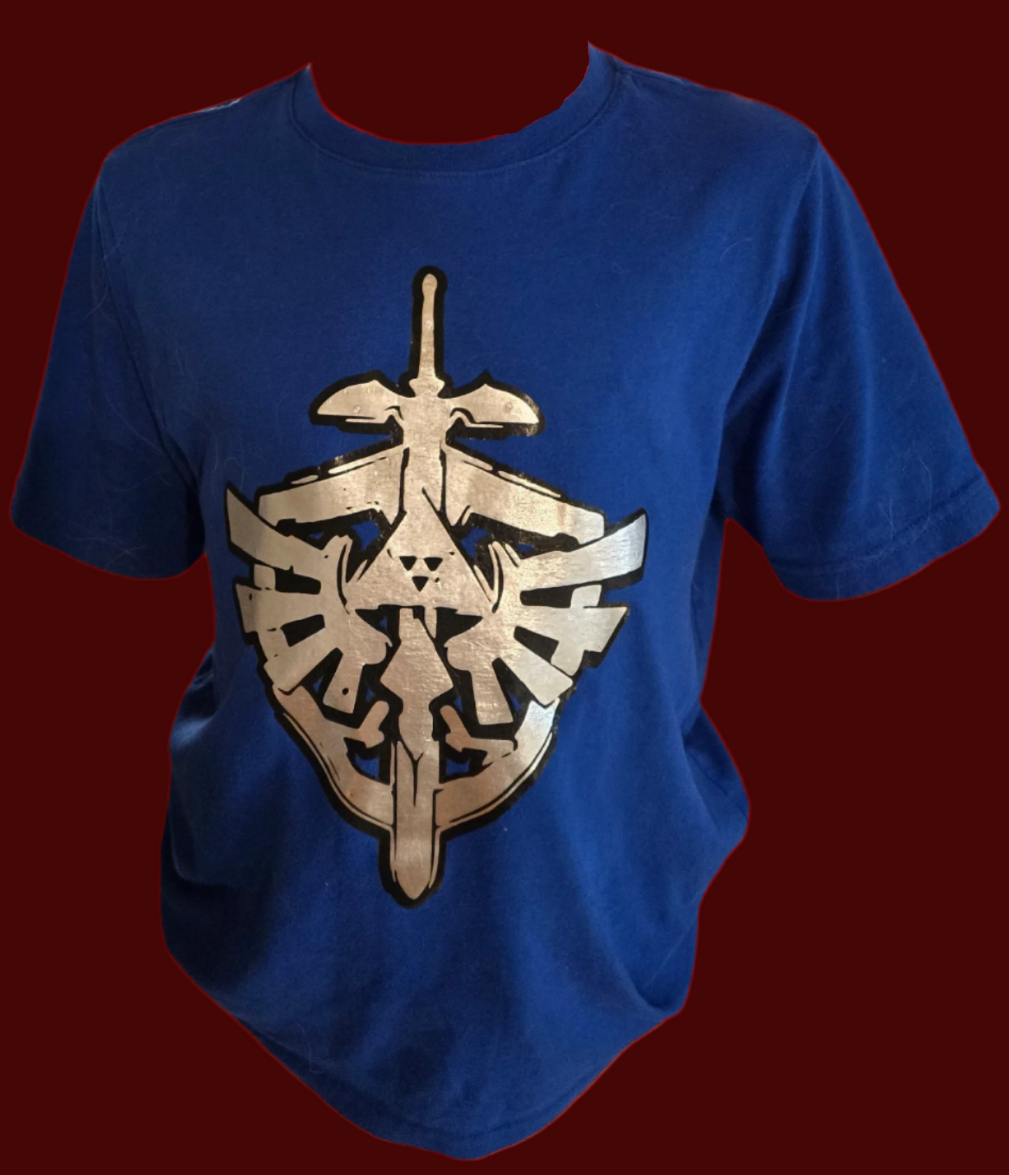 Zelda Sword and Hylian Shield - Erin's Design