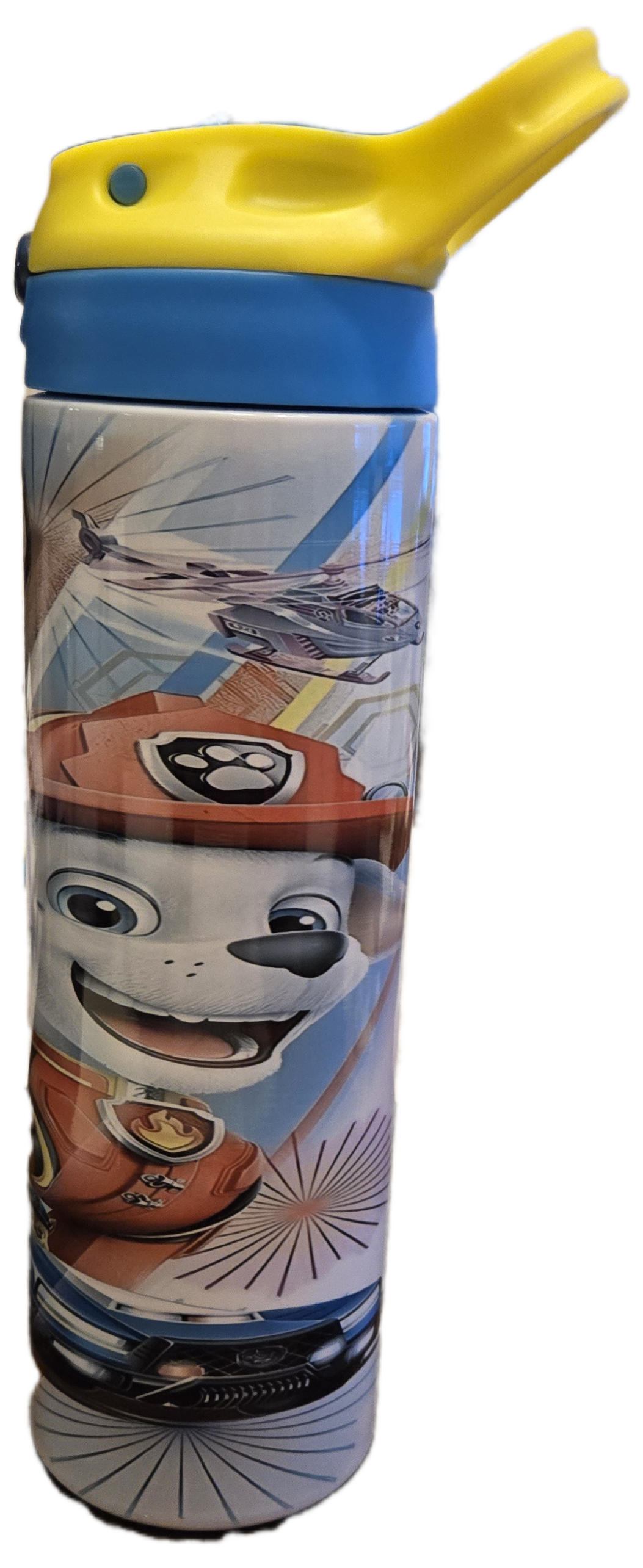 Paw Patrol Water Bottle